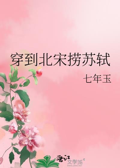 穿到宋朝小说